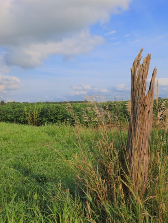 000 210th, ALL OTHERS, Illinois 61342, ,Land,For Sale,210th,202605262