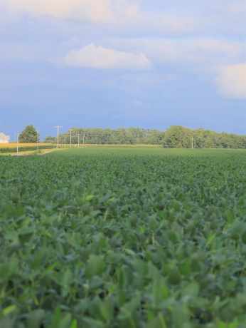 000 210th, ALL OTHERS, Illinois 61342, ,Land,For Sale,210th,202605262