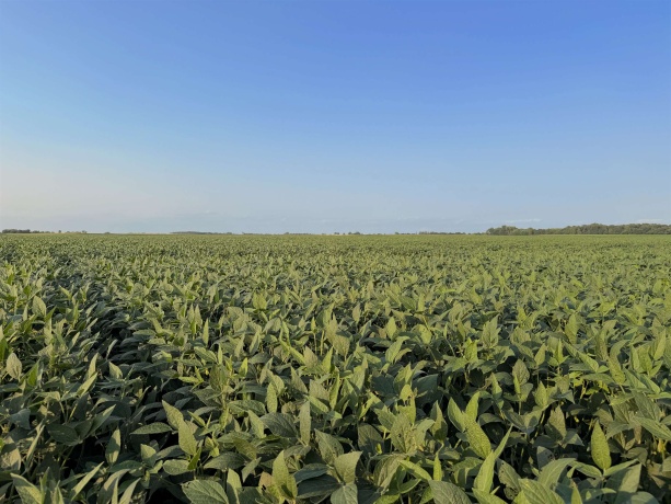000 210th, ALL OTHERS, Illinois 61342, ,Land,For Sale,210th,202605262