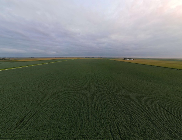 000 210th, ALL OTHERS, Illinois 61342, ,Land,For Sale,210th,202605263