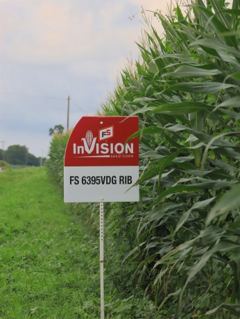 000 210th, ALL OTHERS, Illinois 61342, ,Land,For Sale,210th,202605263