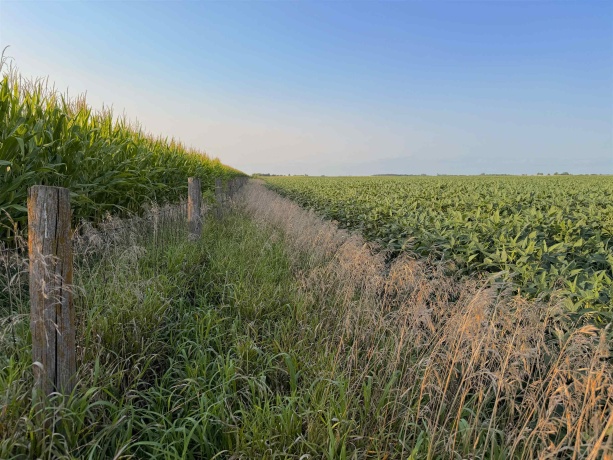 000 210th, ALL OTHERS, Illinois 61342, ,Land,For Sale,210th,202605263