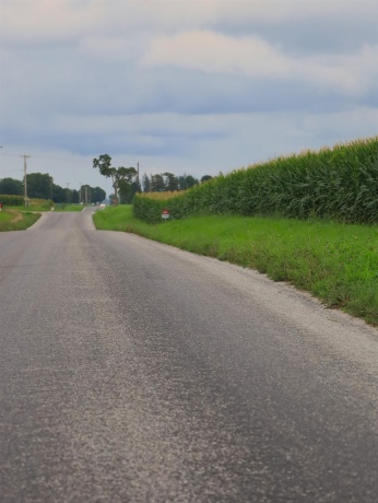 000 210th, ALL OTHERS, Illinois 61342, ,Land,For Sale,210th,202605263