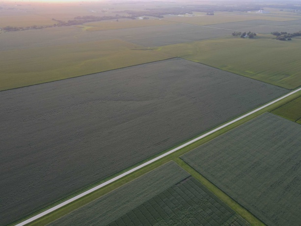 000 210th, ALL OTHERS, Illinois 61342, ,Land,For Sale,210th,202605263