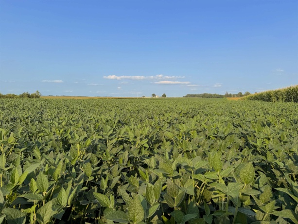 000 30th, ALL OTHERS, Illinois 61342, ,Land,For Sale,30th,202605265