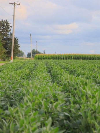 000 30th, ALL OTHERS, Illinois 61342, ,Land,For Sale,30th,202605265