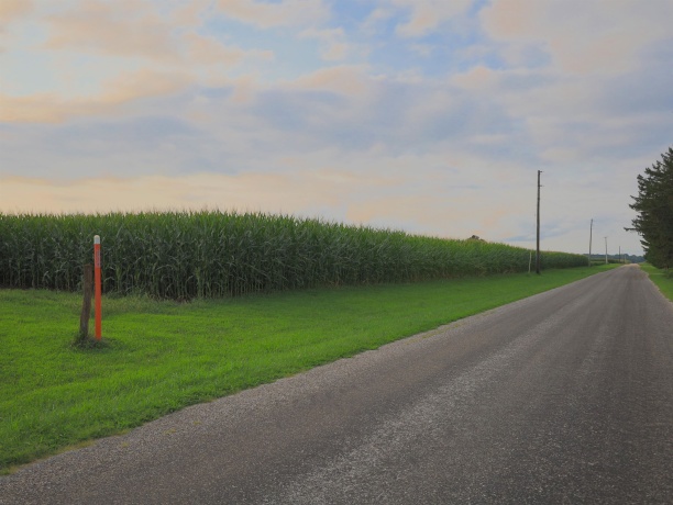 000 30th, ALL OTHERS, Illinois 61342, ,Land,For Sale,30th,202605265