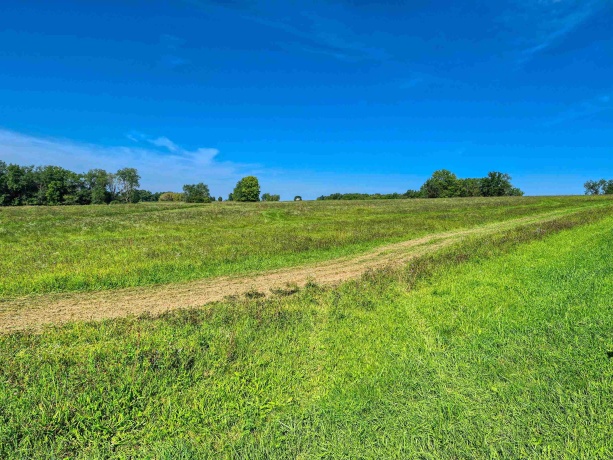 24-132 Lake Carroll, LAKE CARROLL, Illinois 61046, ,Land,For Sale,Lake Carroll,202605343