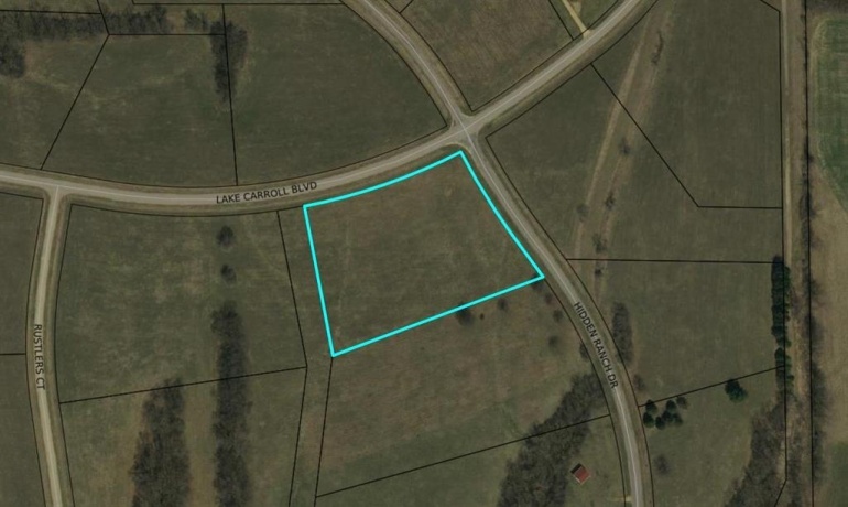 24-132 Lake Carroll, LAKE CARROLL, Illinois 61046, ,Land,For Sale,Lake Carroll,202605343