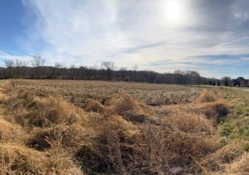 10301 Creekside, BELVIDERE, Illinois 61008, ,Land,For Sale,Creekside,202605346