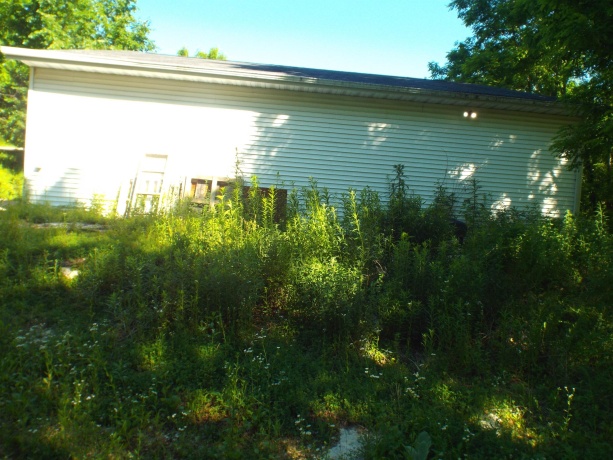 1214 West, GALENA, Illinois 61036, ,Business W/ Real Estate,For Sale,West,202603758