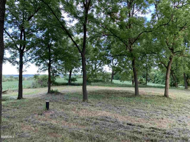 14258 Airport, Mt. Carroll, Illinois 61053, ,Sold,For Sale,Airport,20210735