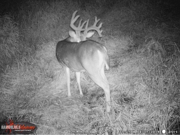 14258 Airport, Mt. Carroll, Illinois 61053, ,Sold,For Sale,Airport,20210735