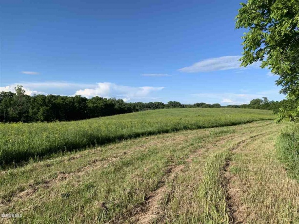 14258 Airport, Mt. Carroll, Illinois 61053, ,Sold,For Sale,Airport,20210735