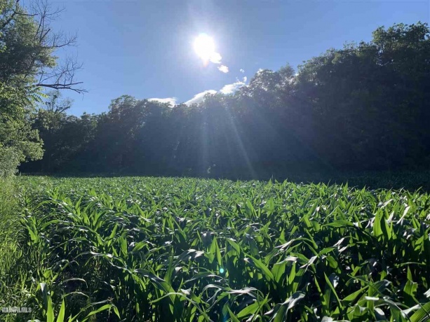 14258 Airport, Mt. Carroll, Illinois 61053, ,Sold,For Sale,Airport,20210735