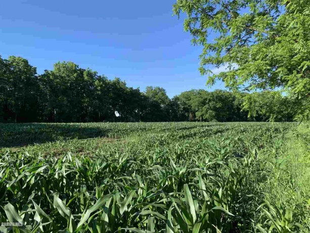 14258 Airport, Mt. Carroll, Illinois 61053, ,Sold,For Sale,Airport,20210735