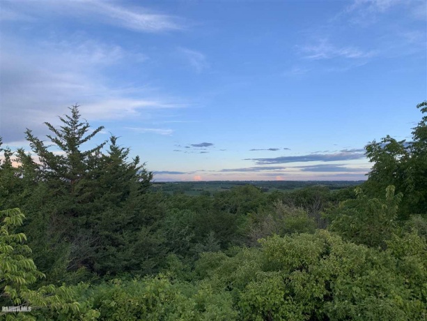 14258 Airport, Mt. Carroll, Illinois 61053, ,Sold,For Sale,Airport,20210735